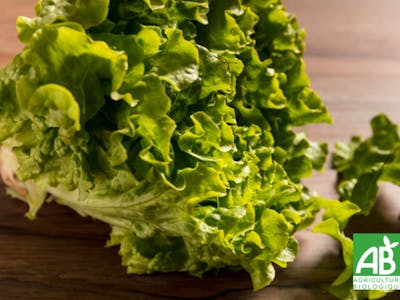 Salade Batavia Bio product image