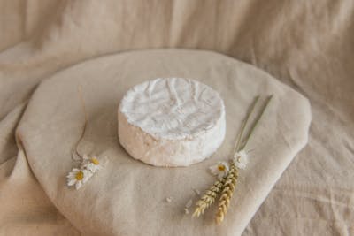 Camembert de Normandie AOP product image
