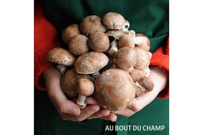 Champignon de Paris product image