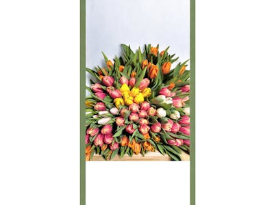Bouquet de tulipes product image