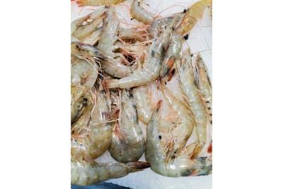 Crevette crue du Bresil product image