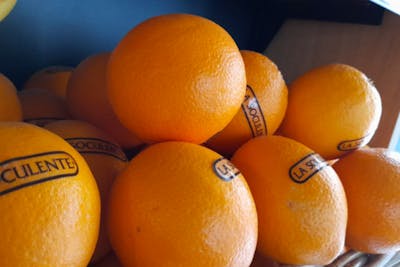 Oranges à jus product image