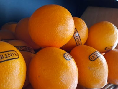Oranges à jus product image
