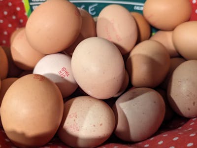 Boite de six œufs product image