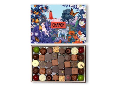 Coffret chocolats - Jardin Merveilleux product image