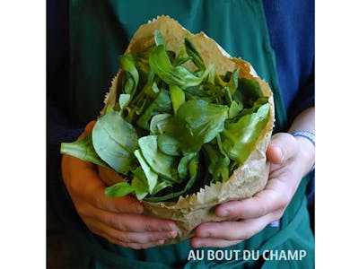 Salade mâche Bio product image