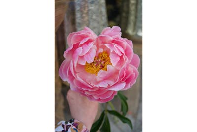 Bouquet du fleuriste (grand) product image