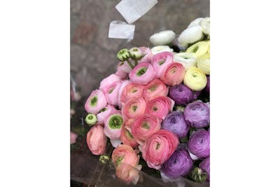 Bouquet du fleuriste (moyen) product image
