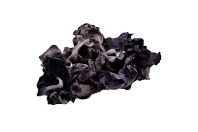 Champignon noir product image