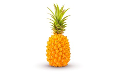 Ananas Victoria product image