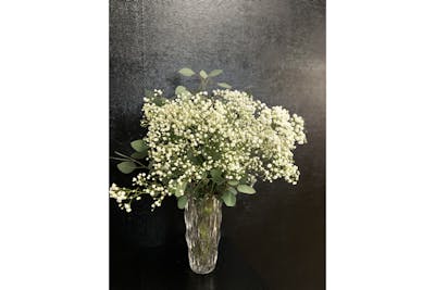 Bouquet de gypsophile product image