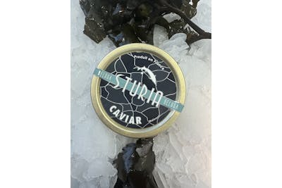 Caviar Beluga Sturia product image
