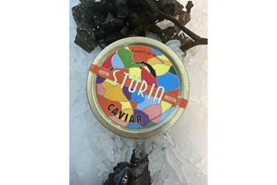 Caviar Osciètre Sturia product image