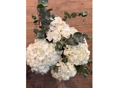 Bouquet XL d'hortensias blancs product image