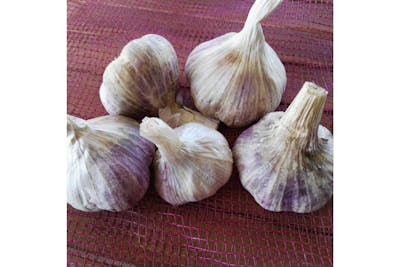 Ail violet product image