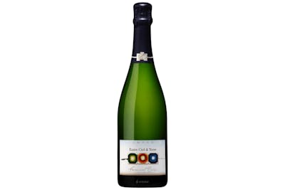 Champagne - Françoise Bedel - Extra Brut - Entre Ciel & Terre - 2016 product image