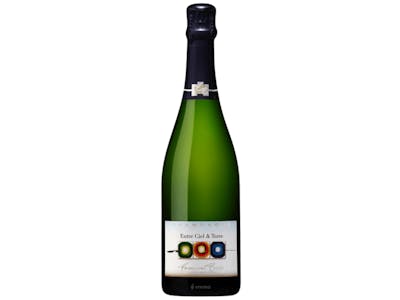Champagne - Françoise Bedel - Extra Brut - Entre Ciel & Terre - 2016 product image