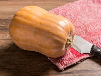 Courge butternut product image